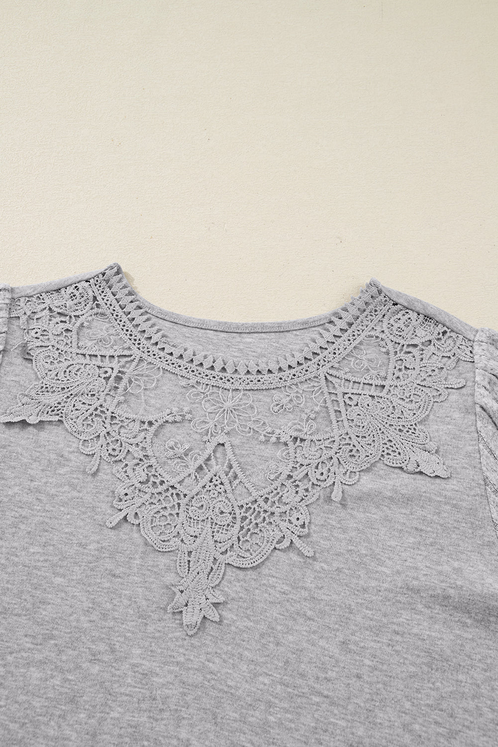 Gray Solid Lace Applique Round Neck Long Sleeve Top