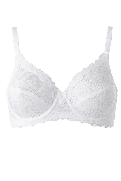  Soft model 232522 Triumph 