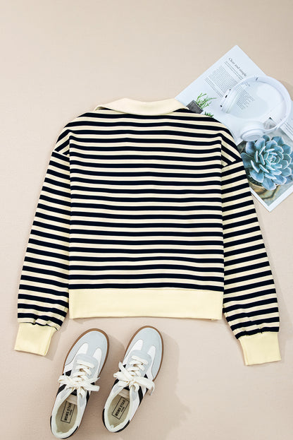 Blue Striped Long Sleeve V Neck Top